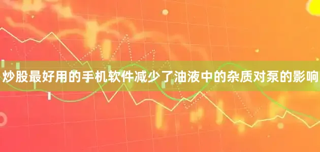 炒股最好用的手机软件减少了油液中的杂质对泵的影响