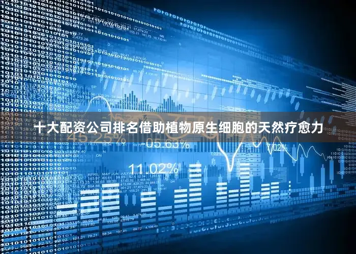 十大配资公司排名借助植物原生细胞的天然疗愈力