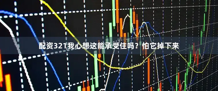 配资321我心想这能承受住吗？怕它掉下来