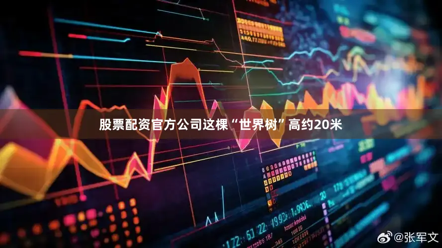 股票配资官方公司这棵“世界树”高约20米