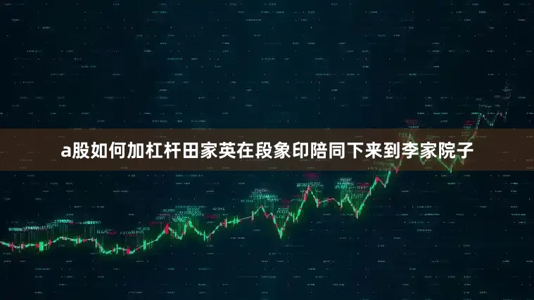 a股如何加杠杆田家英在段象印陪同下来到李家院子